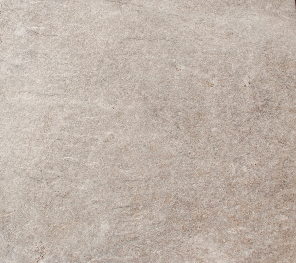 GRES Porcelain Stony Look Digital Matt 50X50 ARES