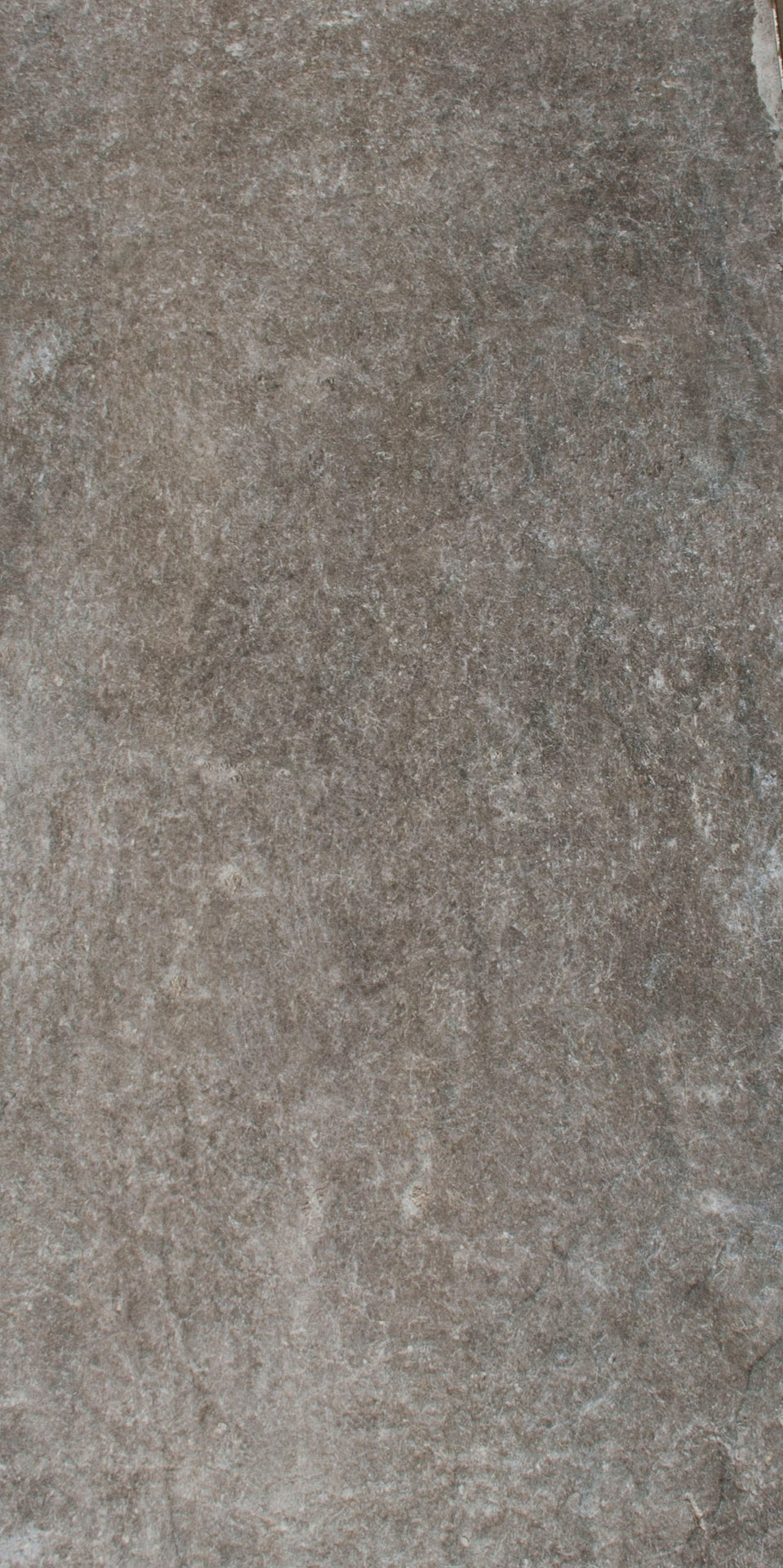 GRES Porcelain Stony Look Digital Matt 50X100 ARES