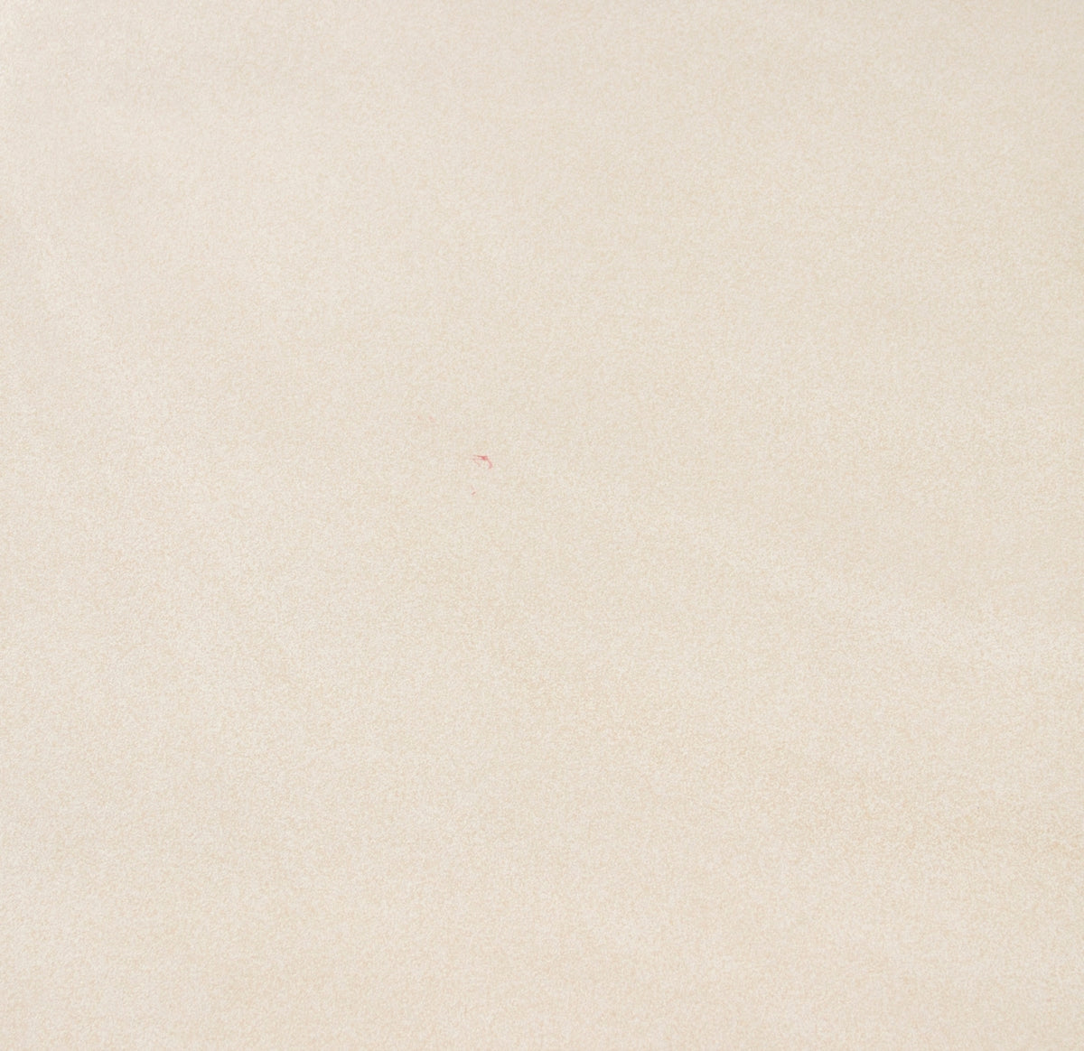 Gres Porcelain Glass Beige Matt Stone Look 60x60cm