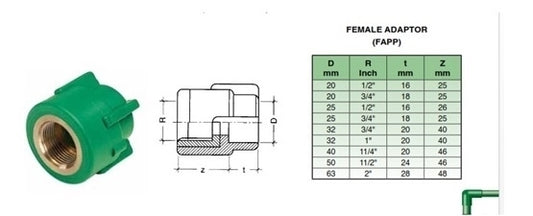 25 × 1/2 "محول أنثى PPR مترابط