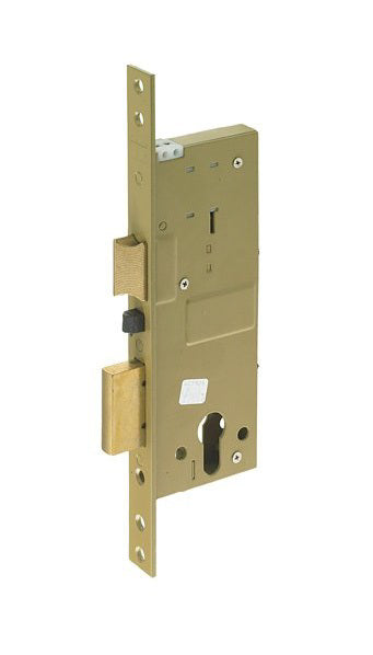 Electric Mortice Lock