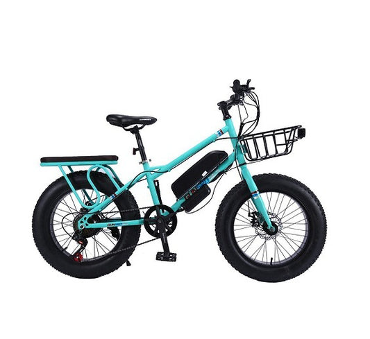 Crony 22 "The Fire Spirit Bird Bird Electric Bicycle Desert Outdior Riding Electric Bicycle | Green